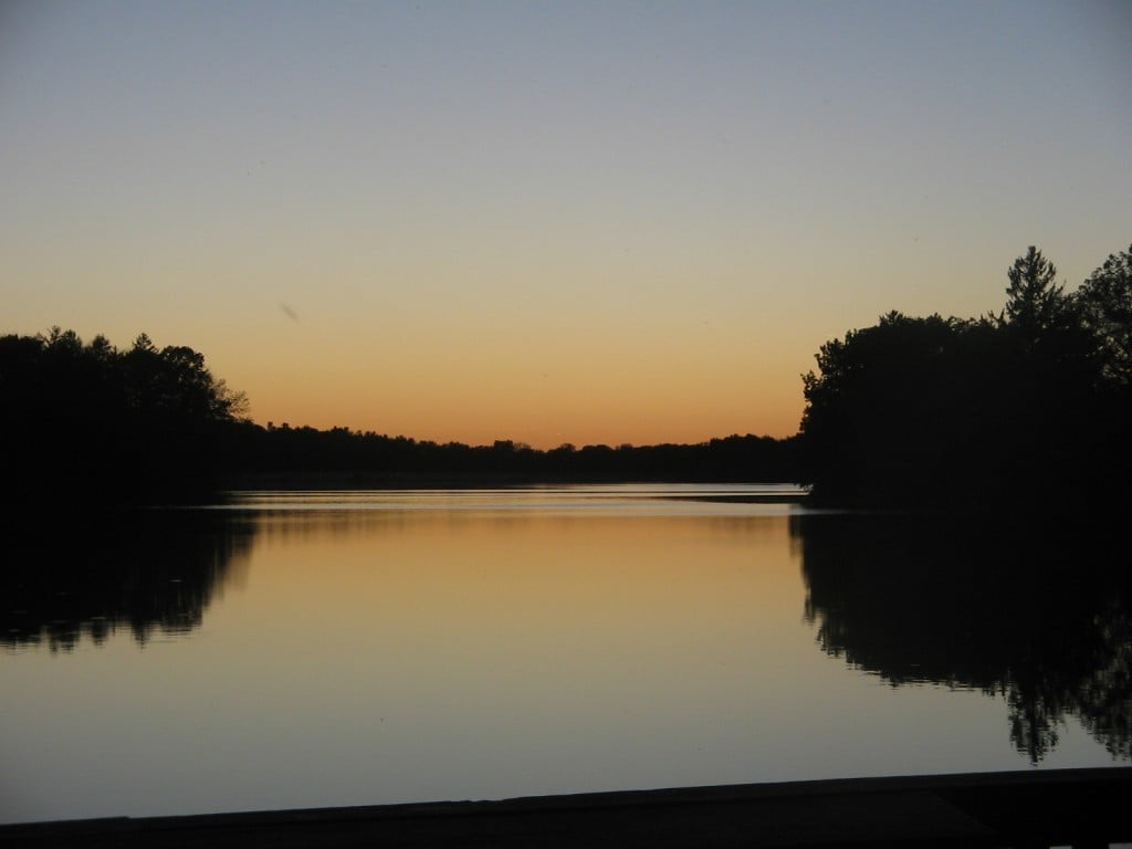 Img 05