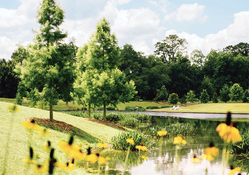 Moncuspark 2023 Spring Smallfile Rebecca Taylor