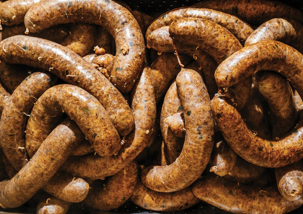Boudin 15