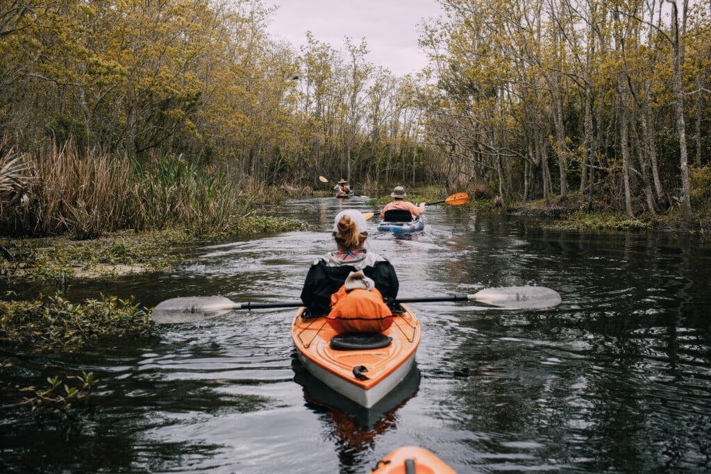 Vermilion Voyage 3 Nathaniel Martin