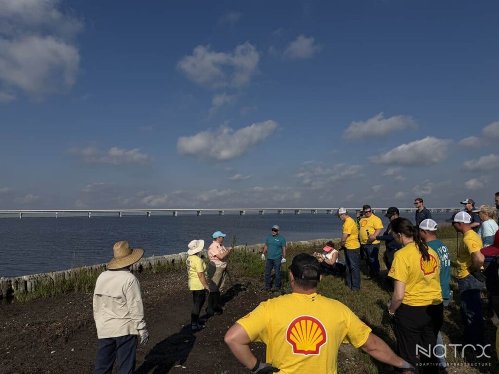Shell, Natrx and South Lafourche install Coastal Coral in Golden Meadow