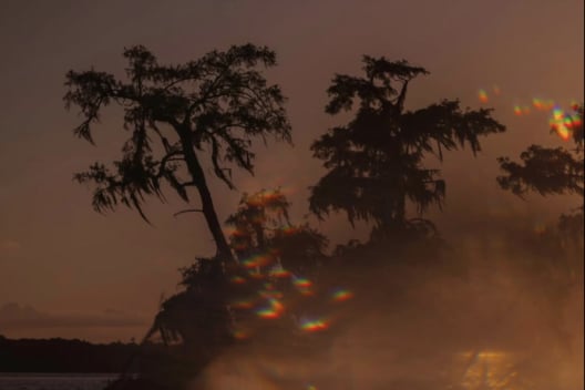 Artwork in "Gulf Streams: Atchafalaya Remixed" by Olivia Luz Perillo titled "333 / Returning." Shows a warm orange sky, dark water and silhouette of trees with light distortion in the bottom right