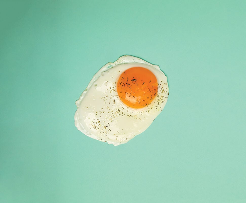 News Egg