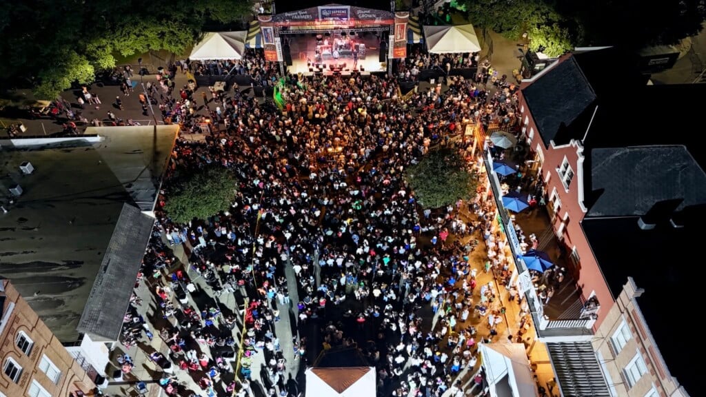 International Rice Festival 2025