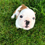 so cute