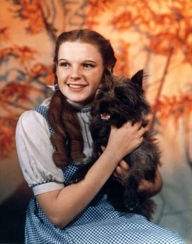 Dorothy Gale - The Wizard Of Oz