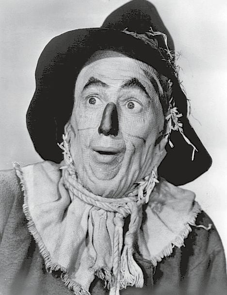 The Wizard Of Oz Actor Ray Bolger Vintage Free Ima 1316