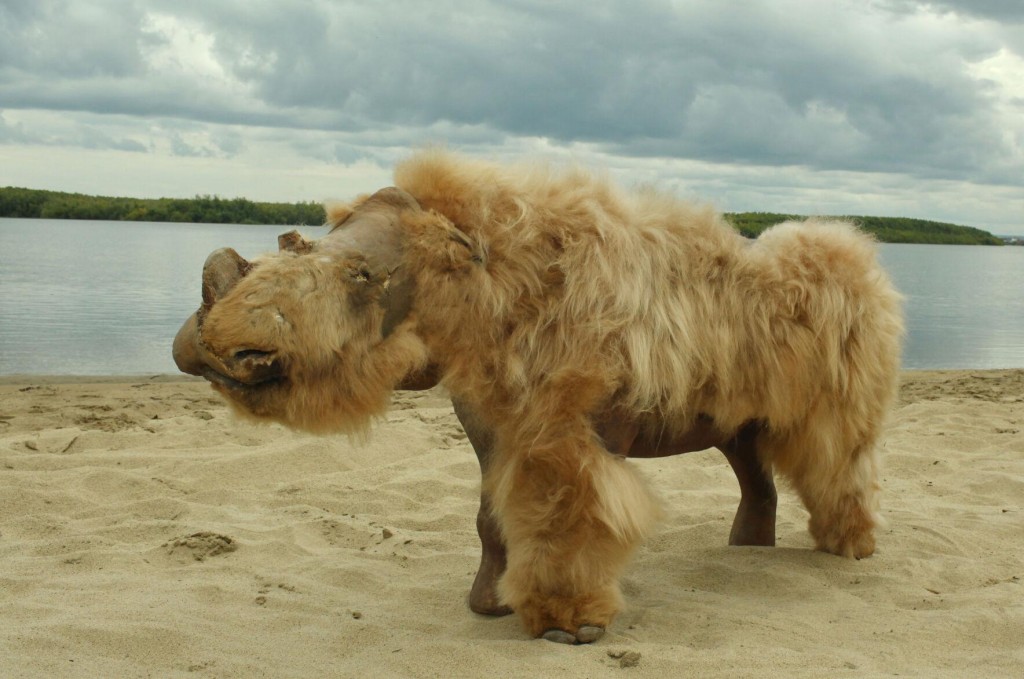 A 14,000 Year Old Perfectly Preserved Puppy Munched On A Woolly Rhino For Its Last Meal