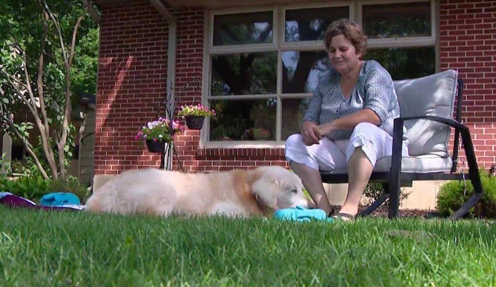 Illinois Family Helps Dog With Terminal Cancer Complete His Bucket List