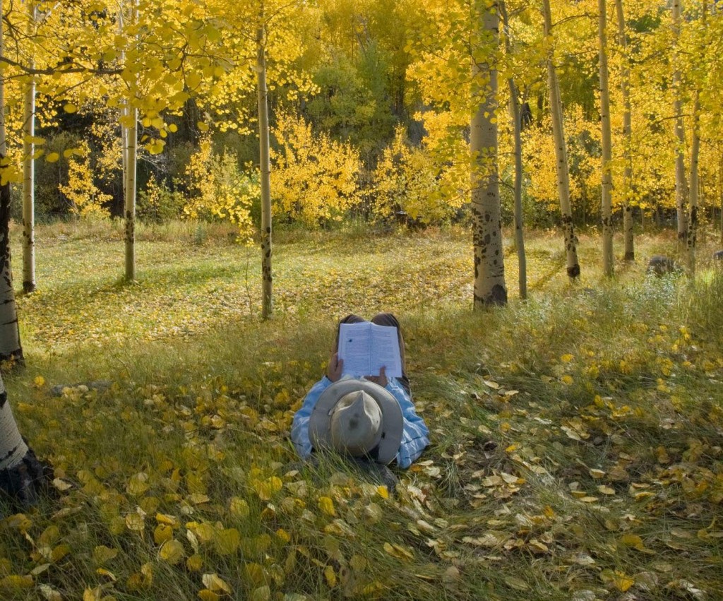 Season’s Readings: 12 Books For Your Fall List