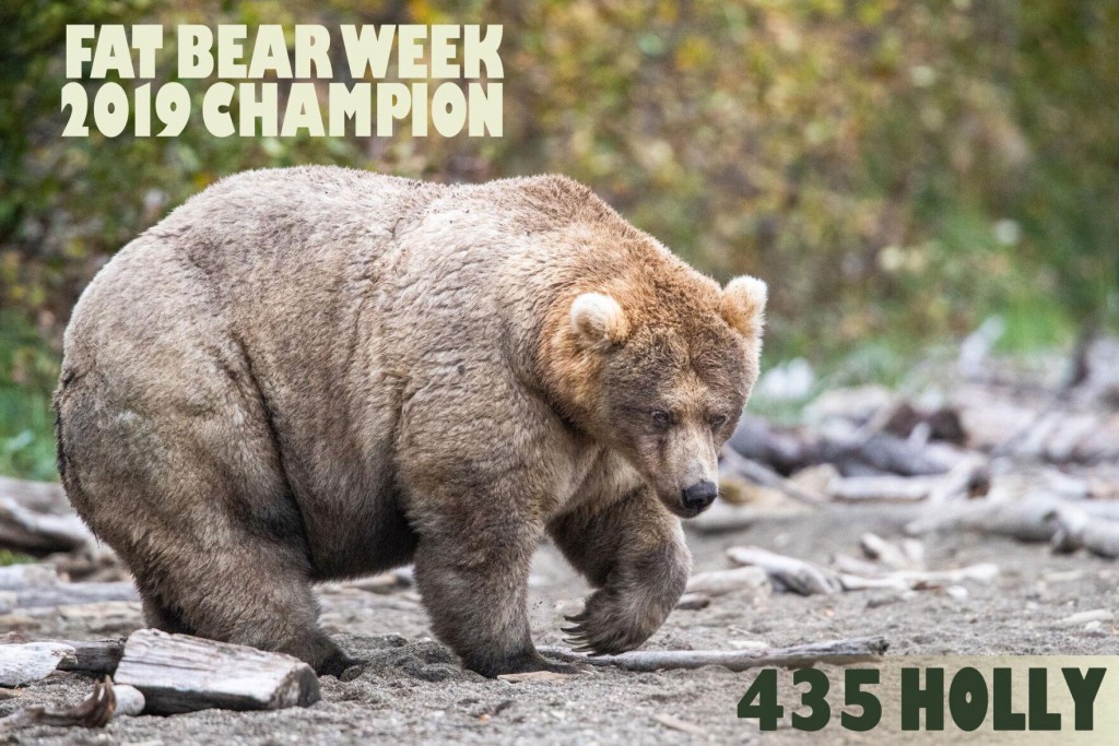 The Holiday Everyone Needs Right Now Is Upon Us: Fat Bear Week