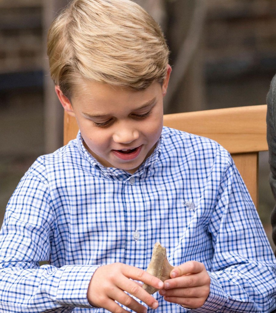 Malta Seeks Return Of Shark Tooth Fossil Given To Prince George