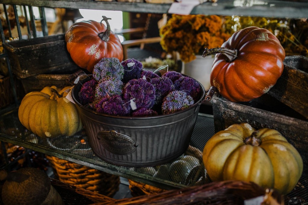 Fall Flair: There’s Still Time To Decorate For The Season