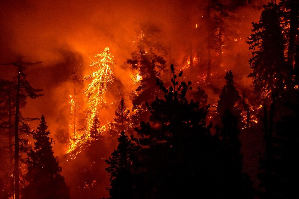 How Do Wildfires Get Their Names?