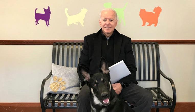 Canines Back At White House: Joe Biden To Bring 2 Dogs, Including Rescue Pup