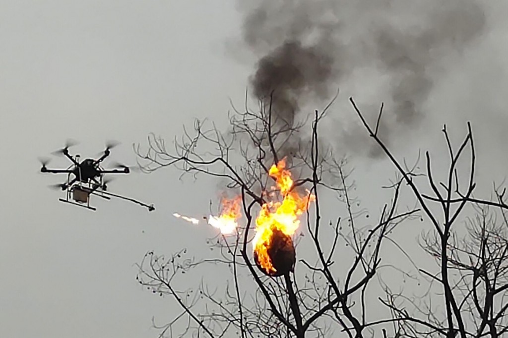 Flamethrower Drone Incinerates Wasp Nests In China