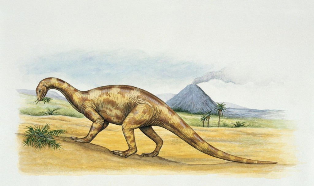 Scientists Digitally Rebuilt This Dinosaur’s Brain And Made Some Surprising Discoveries