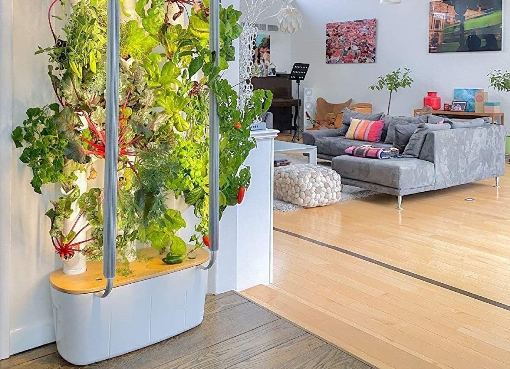 Buying Guide: This Indoor Smart Garden Is Worth The Splurge