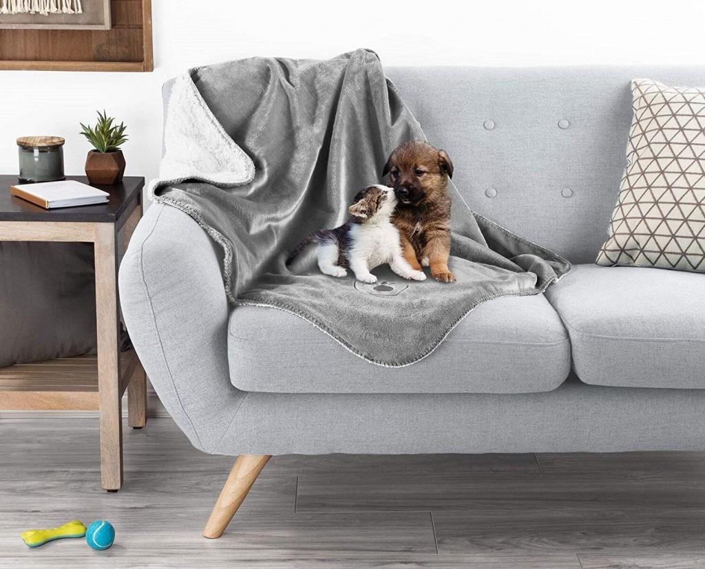 Buying Guide: This Waterproof Pet Blanket Will Protect Your Furniture