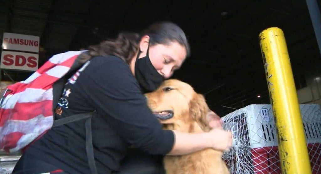 20 Dogs Saved From China Meat Market Get New Homes In Florida