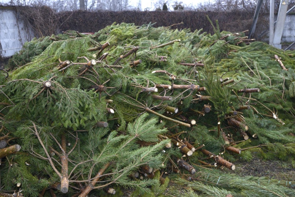 7 Ways To Repurpose Your Christmas Tree