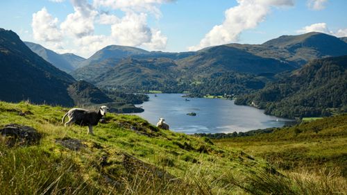 Travel To The Uk During Covid 19: What You Need To Know Before You Go