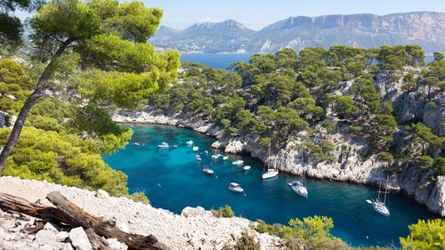 Traveling To France During Covid 19: What You Need To Know Before You Go