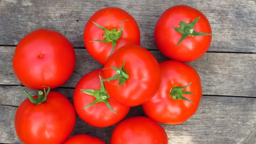 Earth Talk: Which Foods Are Worth Organic Price Premiums?