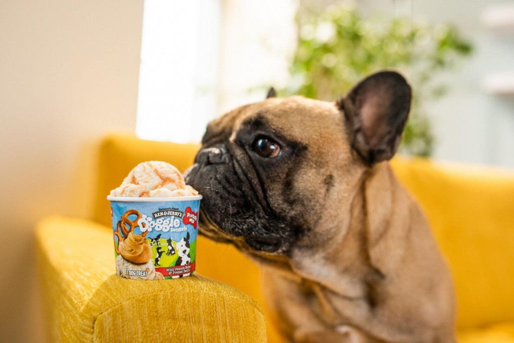 Bone Appétit: Ben & Jerry’s Is Now Making Dog Treats