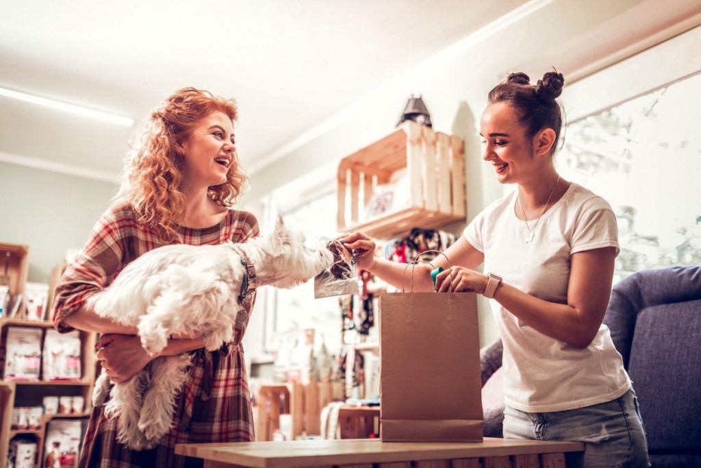 Surprising Places Where Your Pooch Can Shop With You