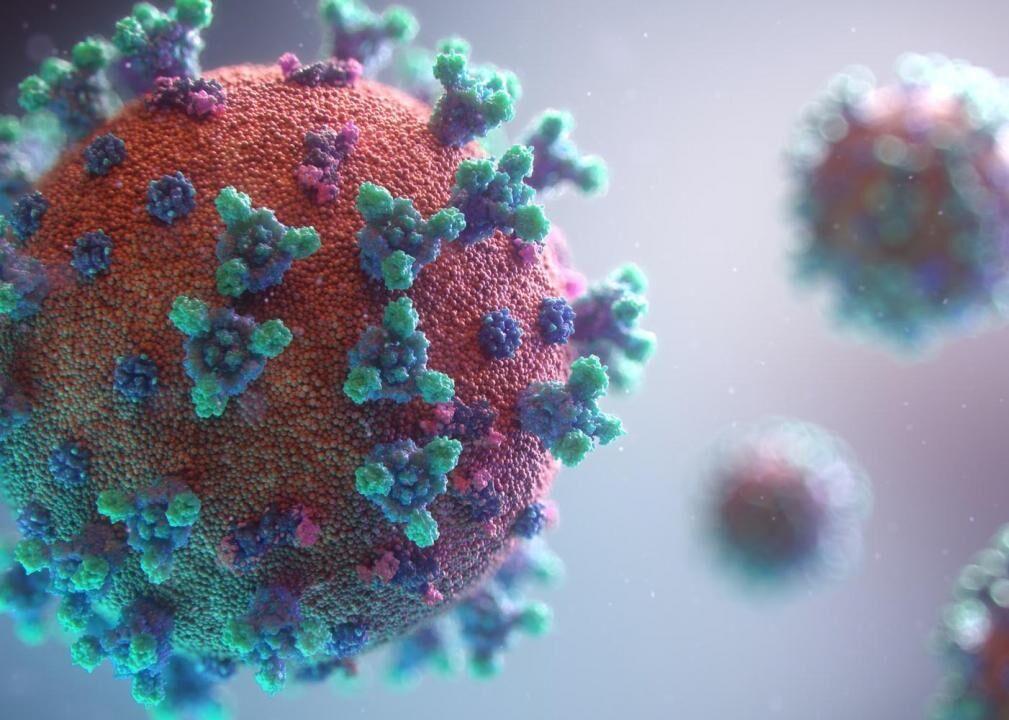 Covid 19 Vaccine Quiz: Can You Spot The Misinformation?