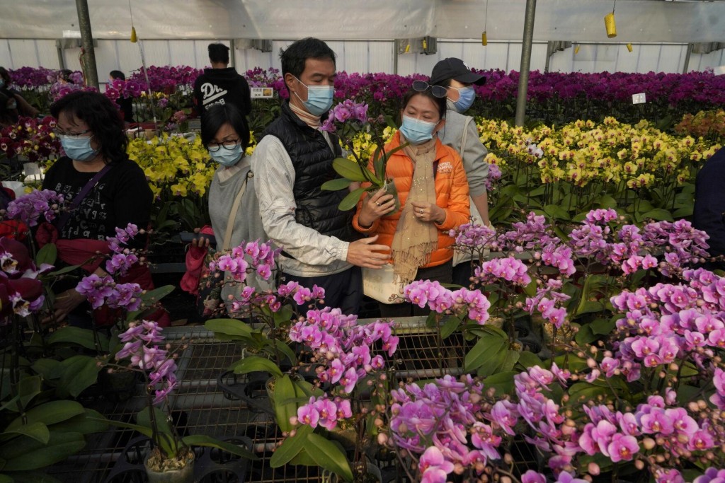 Flower Farms See Their Lunar New Year Sales Wilted By Virus