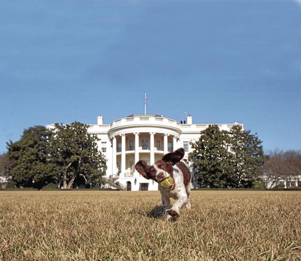Presidential Pets: Look Back At Some Of The First Animals