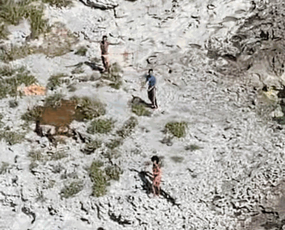3 Cubans Rescued From Island After Surviving On Coconuts, Conchs And Rats