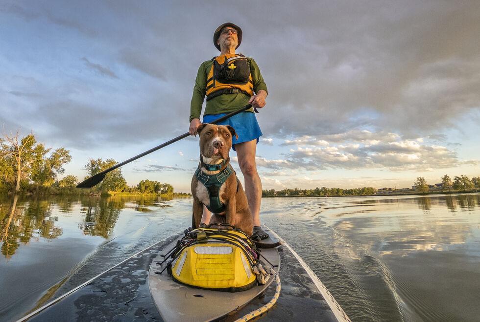 Perfect Dog Friendly Paddleboard Adventures