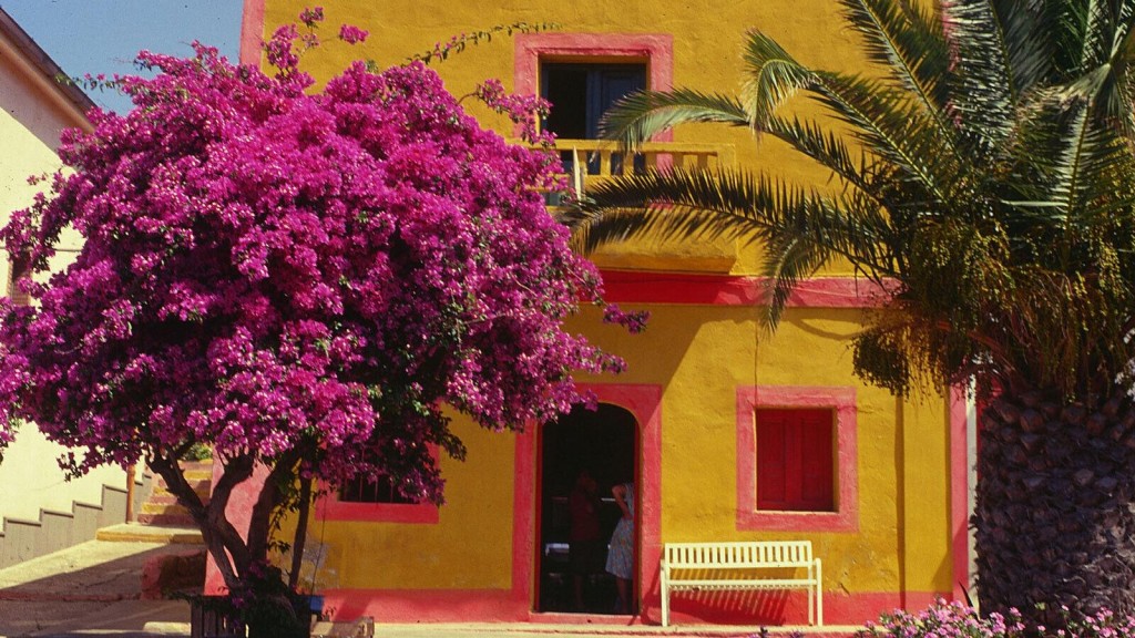 What It’s Like To Live On Italy’s Covid Free Islands