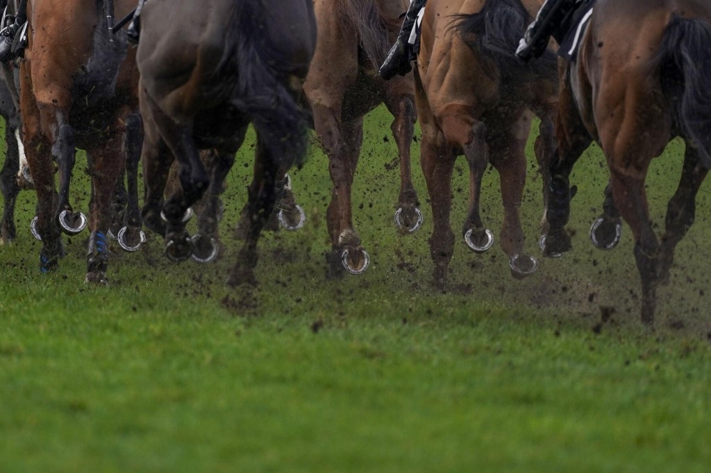 Horse Racing Faces More Flak After Footage Of Jockey Posing On Dead Horse