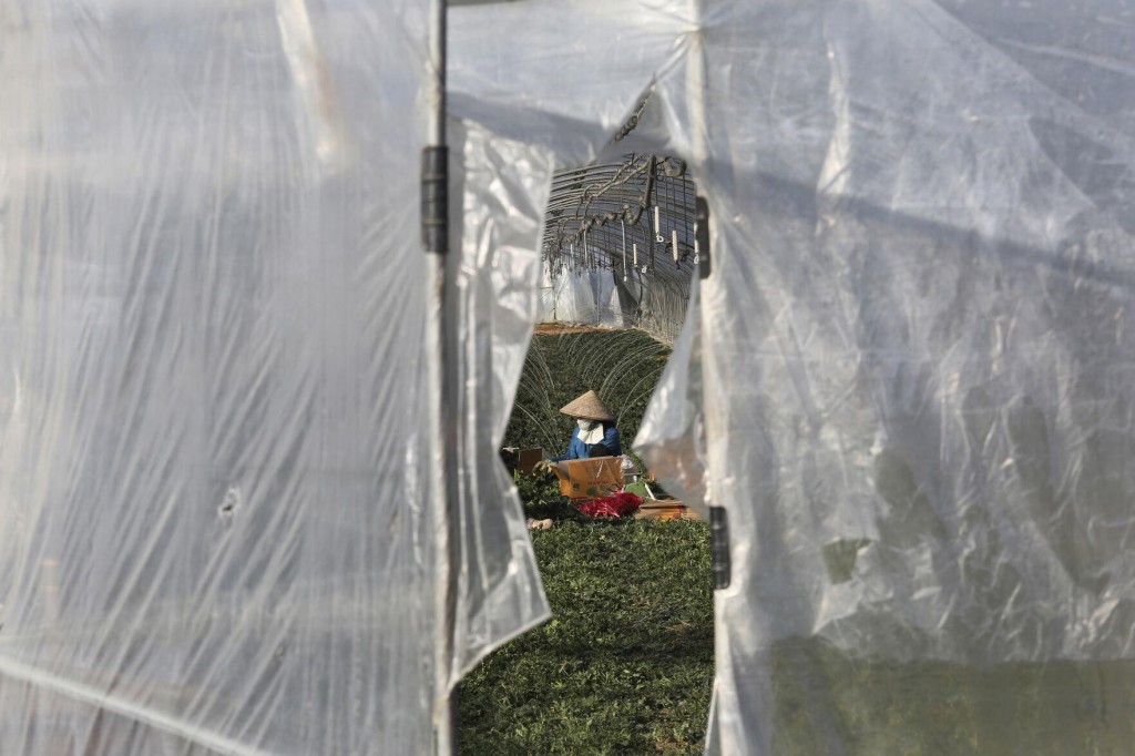 Migrant Workers Face Dire Conditions At South Korean Farms