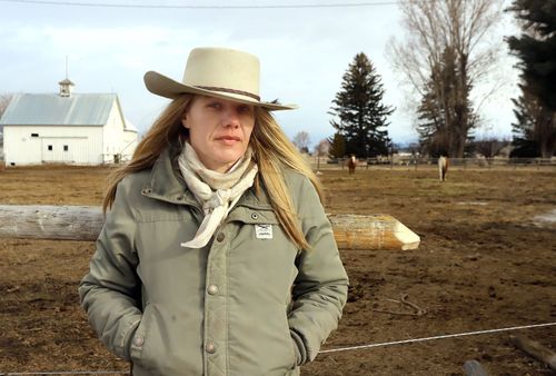 Mule Died From Blunt Force Injury, Not Gunshot