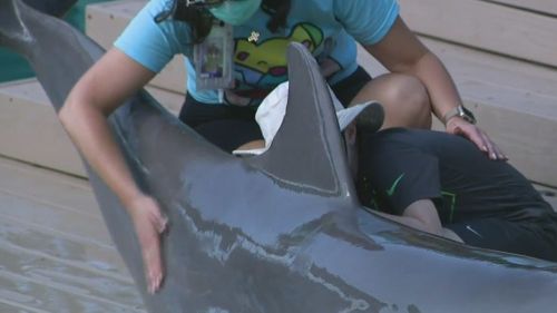 Bitten By Shark, Boy, 9, Enjoys Positive Sea Life Experience At Aquarium