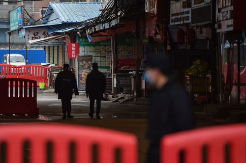 Wildlife Trade Most Likely Pathway For Coronavirus To Arrive In Wuhan, Who Expert Says