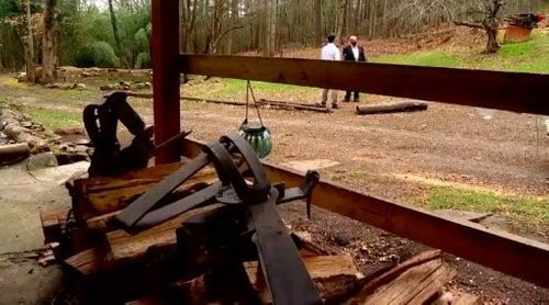 Numerous Black Bears Losing Limbs; How Groups Are Working To Prevent Illegal Trappings