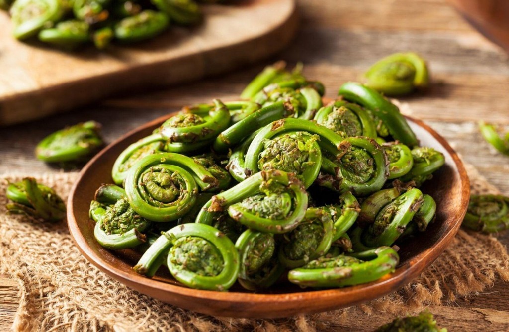 What Is A Fiddlehead?