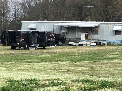 ‘about 50 Dogs May Be In There’ – Nephew Says After Woman Called For Medical Help & Deputies Found Numerous Animals In Home