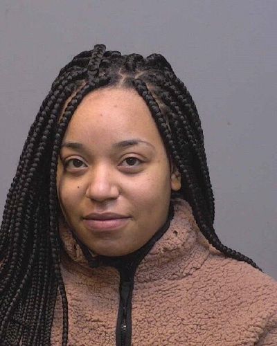 Social Media Videos Of Puppies Being Kicked, Thrown Leads To Woman’s Arrest