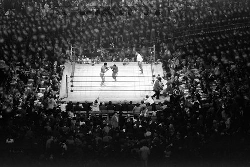 ‘the Fight Of The Century’: A Divided Us Nation 50 Years On