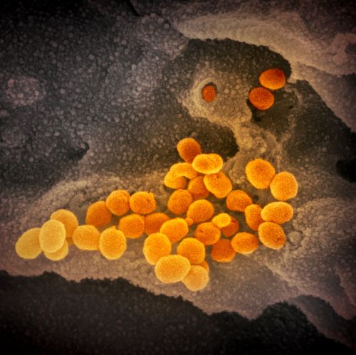 Cdc Releases New Guidelines For Americans Vaccinated Against Covid 19