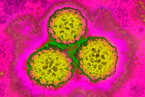 What Is Hpv? What You Should Know About Vaccines, Symptoms And Cancer Risks