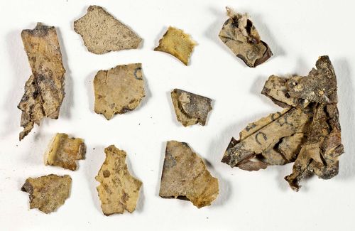 Dead Sea Scroll Fragments Found In Desert Cave