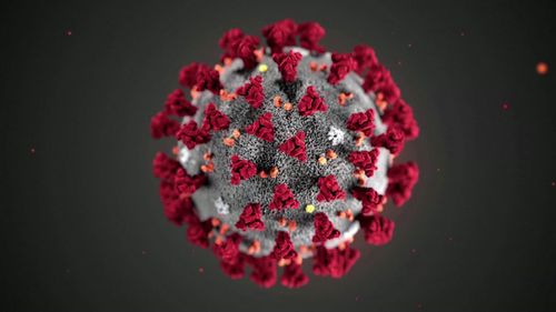 ‘vaccine, Vaccine, Vaccine, Vacciiiine!’